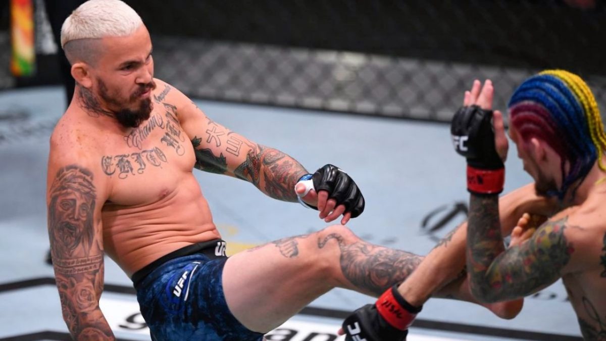 Marlon Vera Net Worth, Record, Next Fight, Tattoo & Wife » The UFC News