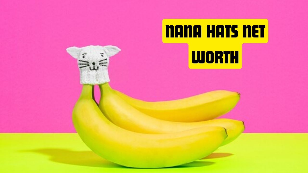 Nana Hats Net Worth 2023, Shark Tank & Revenues