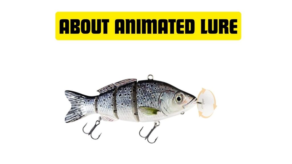 About Animated Lure