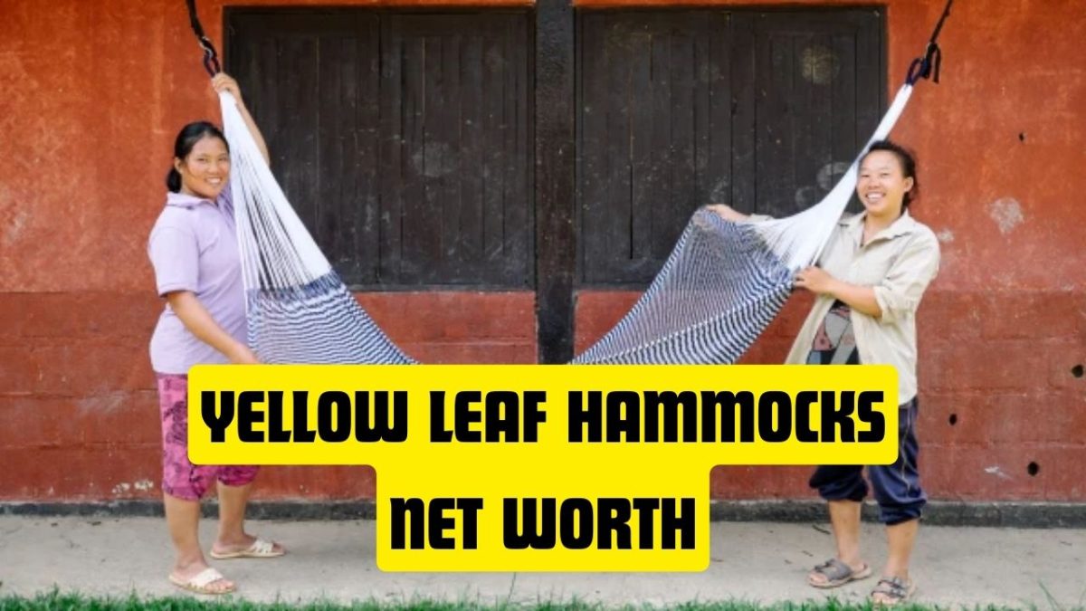 Yellow Leaf Hammocks Net Worth 2023, Shark Tank, Review » The UFC News