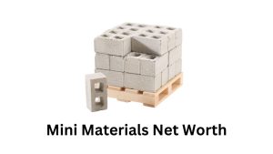 Mini Materials Net Worth