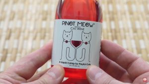 Pinot Meow Net Worth 2023 Shark Tank